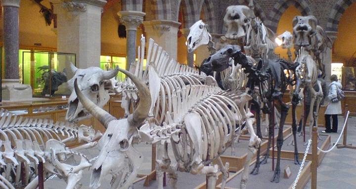 MOOCs Are Not the Answer: Embracing Creative Chaos for Online Education Photo