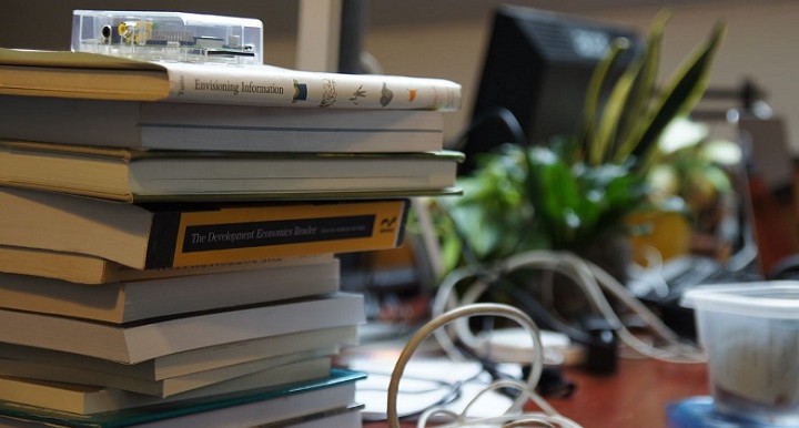 Entrepreneurs in Institutions: Why Intrapreneurs are so Valuable to International Development Photo